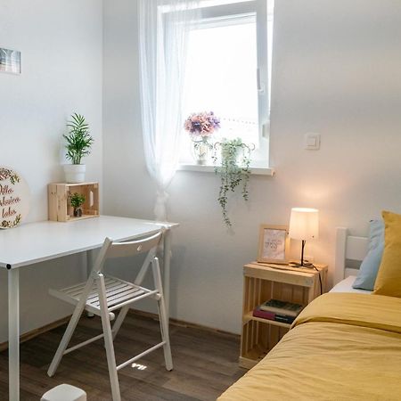 Villa Cerknisko Jezero Cerknica Ngoại thất bức ảnh